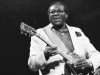 Albert King-The Hunter