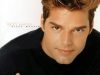 Ricky Martin-Livin La Vida Loca In E Minor